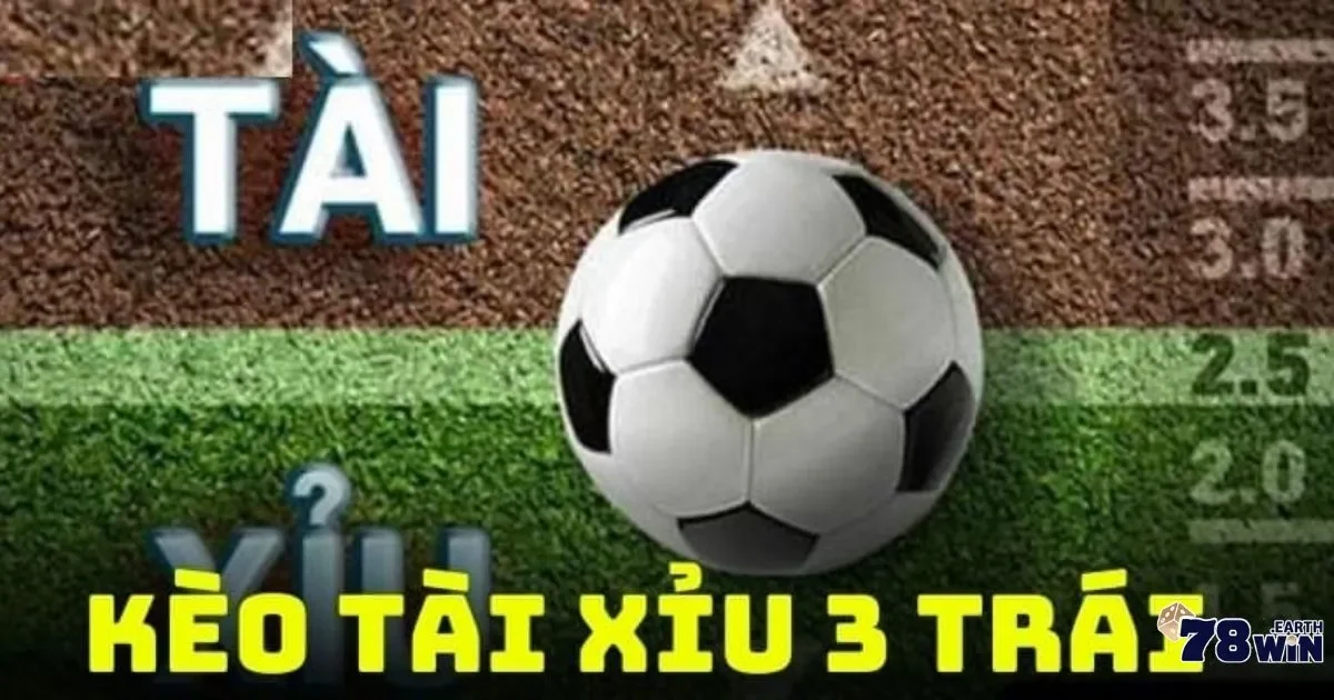 Tài Xỉu 3 Trái Là Sao? Cách Tính Tiền Chuẩn Không Cần Hỏi 4 Cách tính tài xỉu 3 trái chính xác